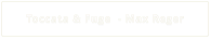 Toccata & Fuge  - Max Reger
