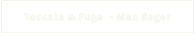 Toccata & Fuge  - Max Reger